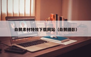 莆田白鹅素材特效下载网站（白鹅摄影）